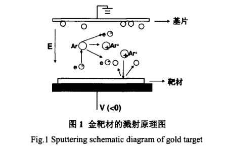 1651960084324323.jpg t1.jpg