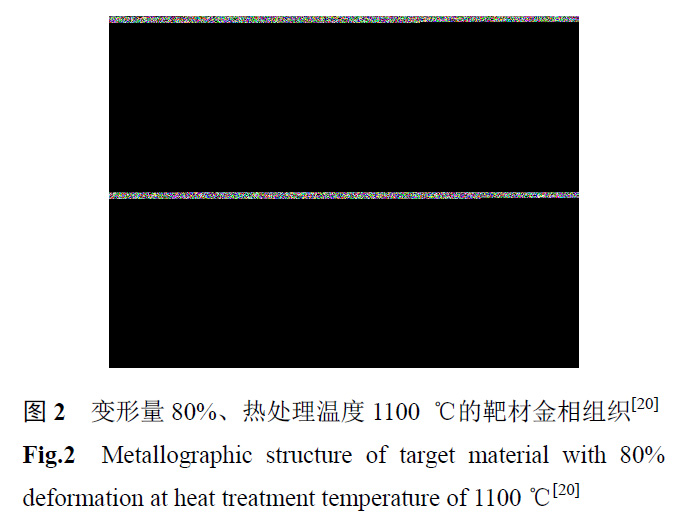 1664020638880879.jpg t2.jpg