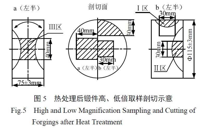 1657926452205605.jpg t5.jpg