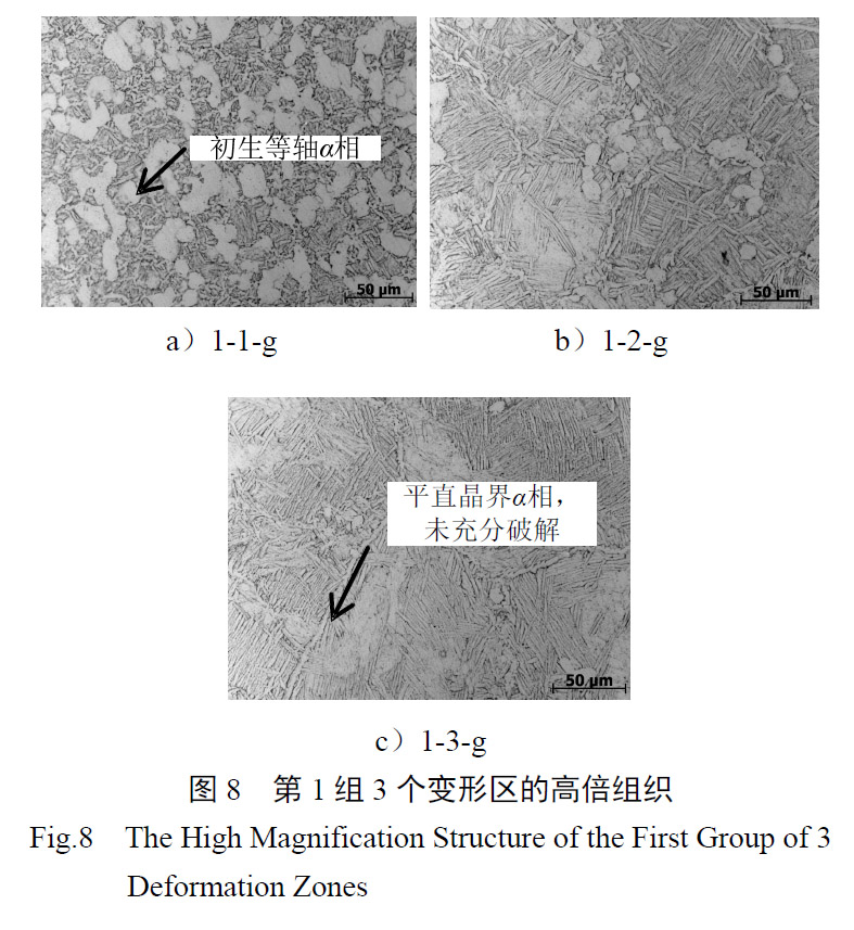 1657926555612901.jpg t8.jpg